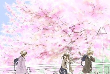 玛莎拉蒂老中医spa